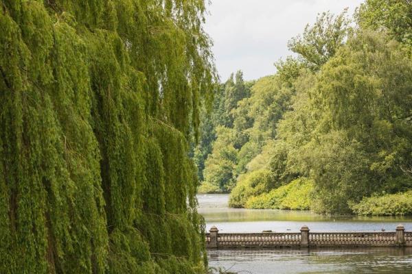 Coombe Abbey