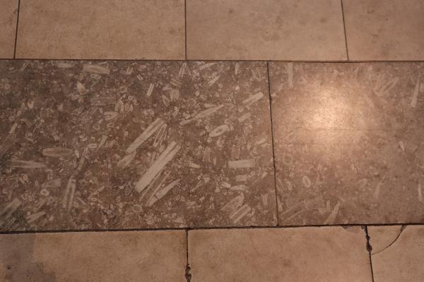 Coventry Cathedral Fossils