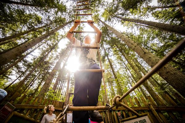 Go Ape Coventry