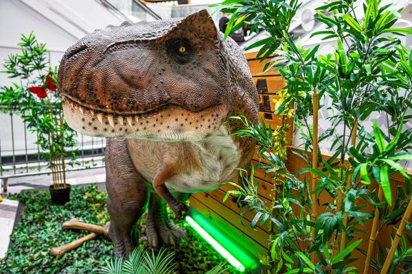 West Orchards Dino Trail