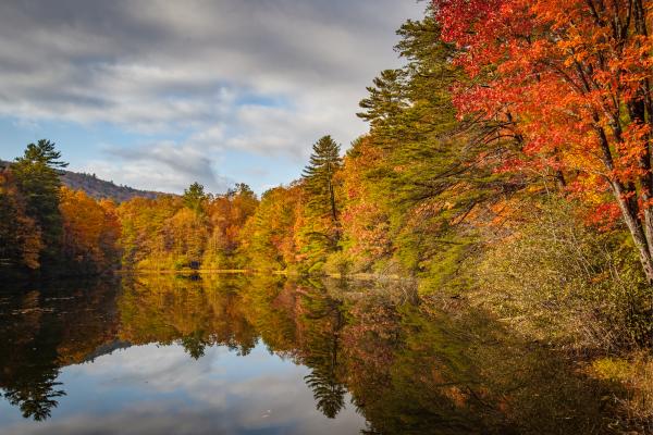 Fall Foliage, Lake, reflection