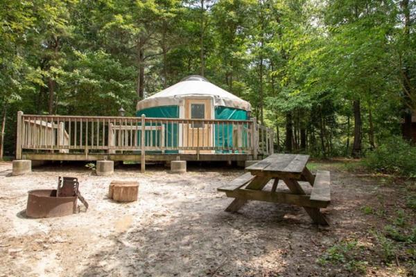 Trap Pond Yurt