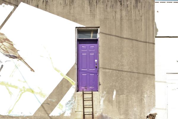 Purple Door