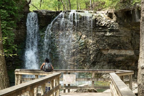 A person with a backpack standing on a wooden viewing platform, admiring the cascading Hayden Run Falls surrounded by lush greenery and rocky cliffs.