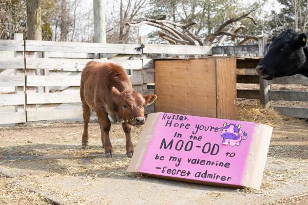 Columbus Zoo Valentines Day