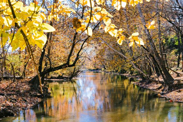 Dublin Springs - Robb McCormick Photography