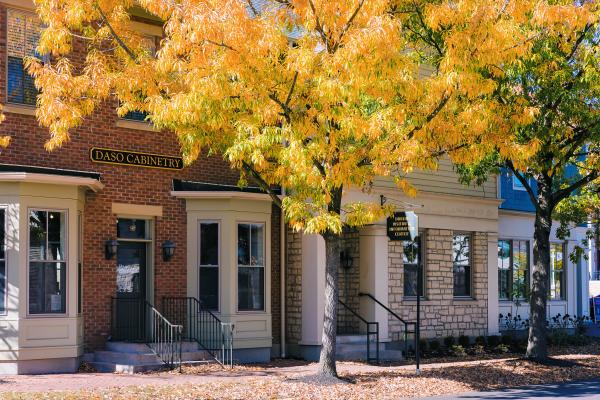 Historic Dublin Fall - Photo by Robb McCormick Photography