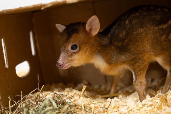 What s New At The Columbus Zoo what-s-new-at-the-columbus-zoo