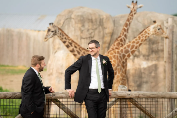 Groomsmen with Giraffes Columbus Zoo