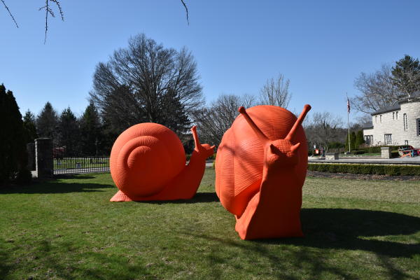 Giant, orange sculptures of snails on the Dublin Arts Council Gallery lawn