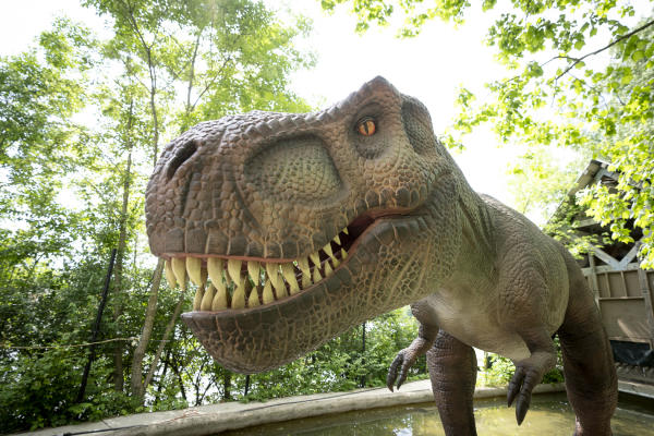 Dinosaur Island