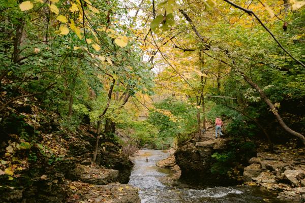 Indian Run Falls covered in fall color