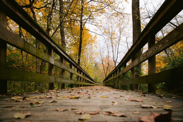 Hayden Run Falls boardwalk covered in leaves during the fall