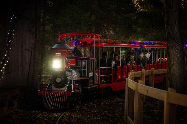 Train ride at Wildlights at the Columbus Zoo
