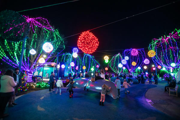 Wildlights Shores Park at the Columbus Zoo