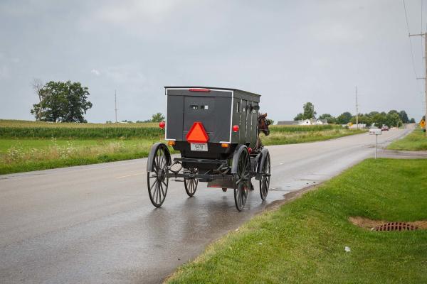 photo of Amish Buggy in Middlebury