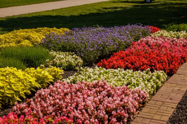 Quilt Gardens