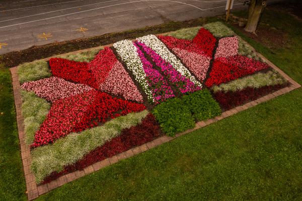 Image of a Quilt Garden