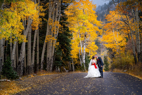 wedding picture of a couple in the fall surrounded by vivacious yellow aspens in Estes Park Colorado