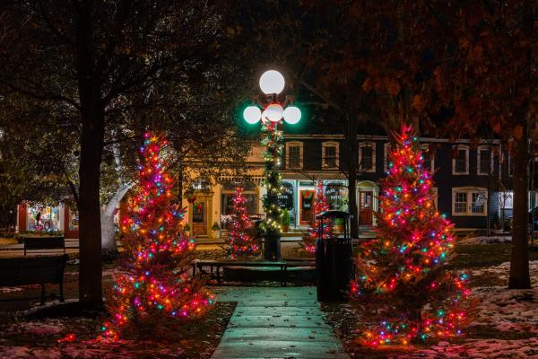 Hammondsport NY - Christmas in the Village Square