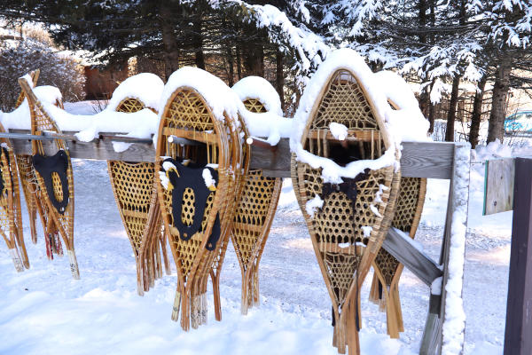 Snowshoeing in the Finger Lakes