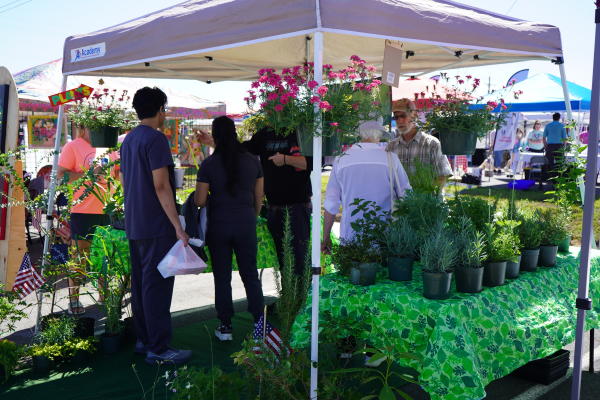 Shoppers browse flowers and plants on a sunny day at the Farmers Market.