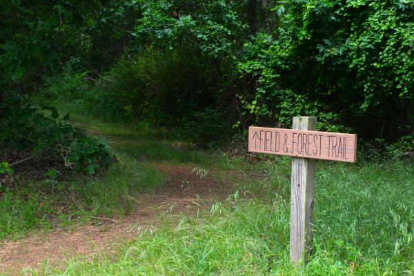 A small wooden trailhead at the Janet Huckabee Nature Center reads "Field & Forest Trail".