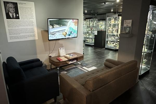 A photo of two couches positioned towards a television at the Fort Smith Regional Art Museum.