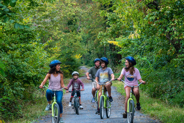 Bike Rentals on the Canal