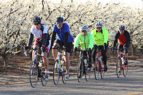 Kings River Blossom Trail Bike Ride