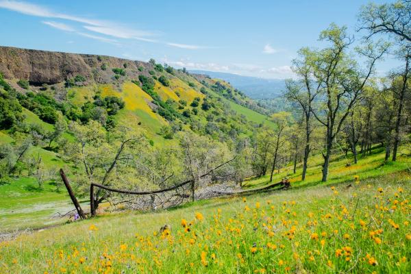 Mckenzie Preserve