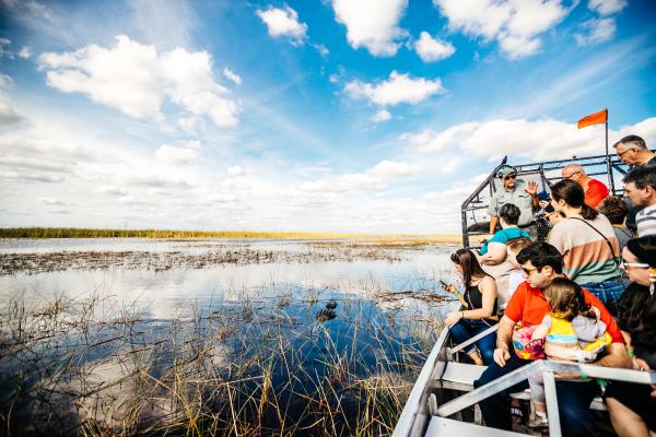 Passengers get an up-close look at an alligator on an airboat ride through Sawgrass Recreation Park.