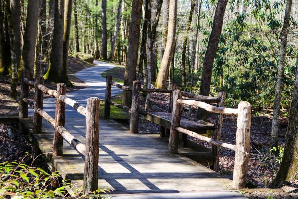 Trees line the well-paved Sugarlands Valley Nature Trail in the Great Smoky Mountains.