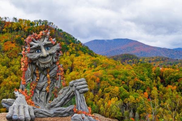 Willow Man at Anakeesta