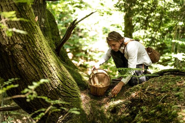 Foraging at Cowdray