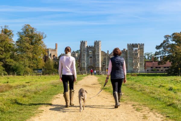 Cowdray Ruins