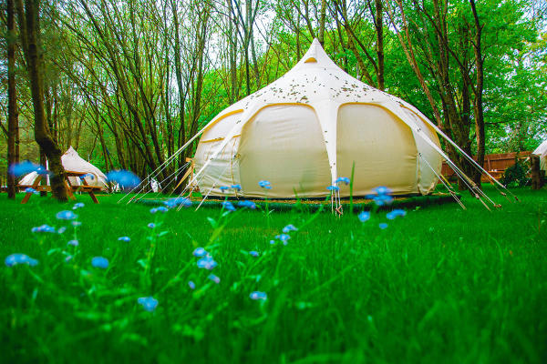 A yurt sits amid woodland