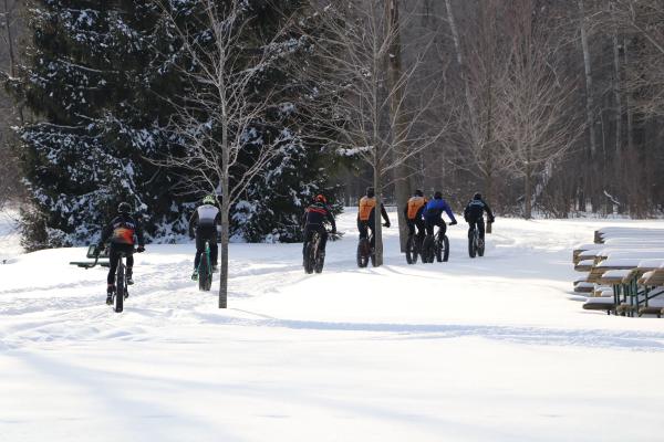 Fat Tire Bike