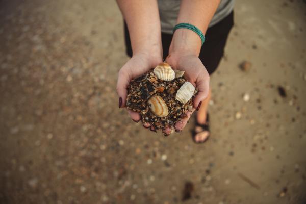 shells in hand