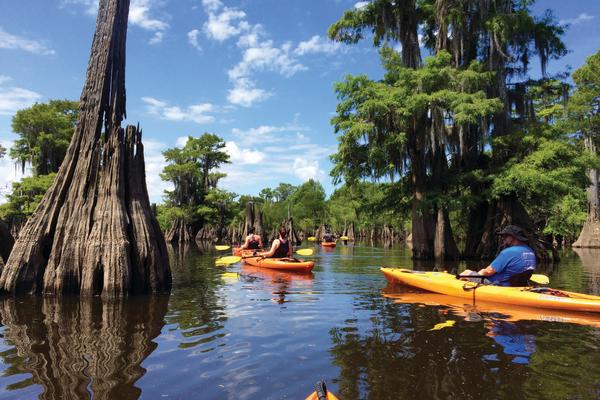 kayaking in Dead Lakes