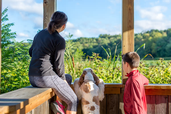 Family Friendly Hiking Wildwood Park