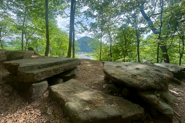 Hiking with a View Cove Mountain