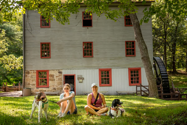Little Buffalo State Park Dog Friendly