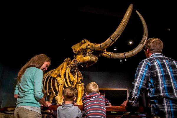 PA State Museum