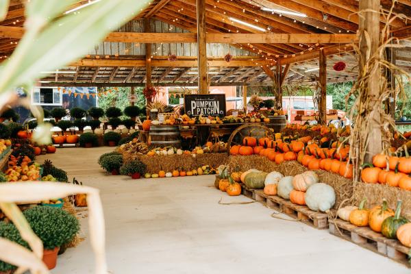 Fall Festival at Heritage Valley Farm & Pumpkin Patch