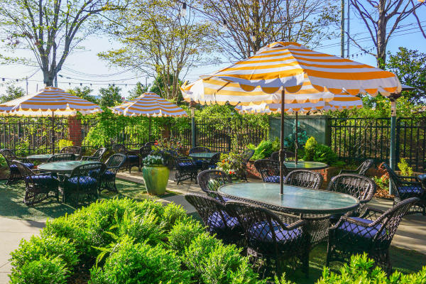 Rule Prime & Pasta, outdoor, garden patio