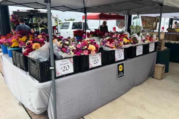 Downtown Hickory Farmers Market - flowers