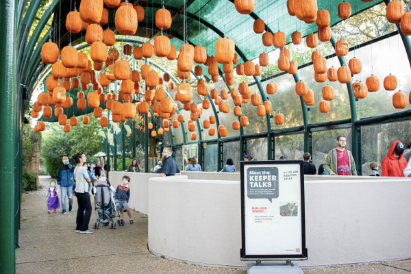 Zoo Boo - Houston Zoo