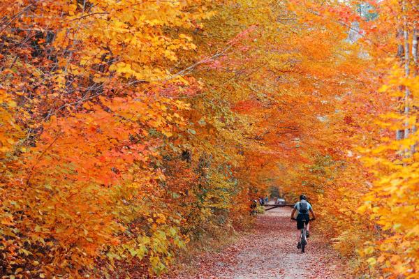 fall