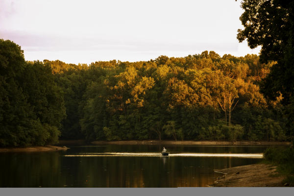 Scotts Cove Fall